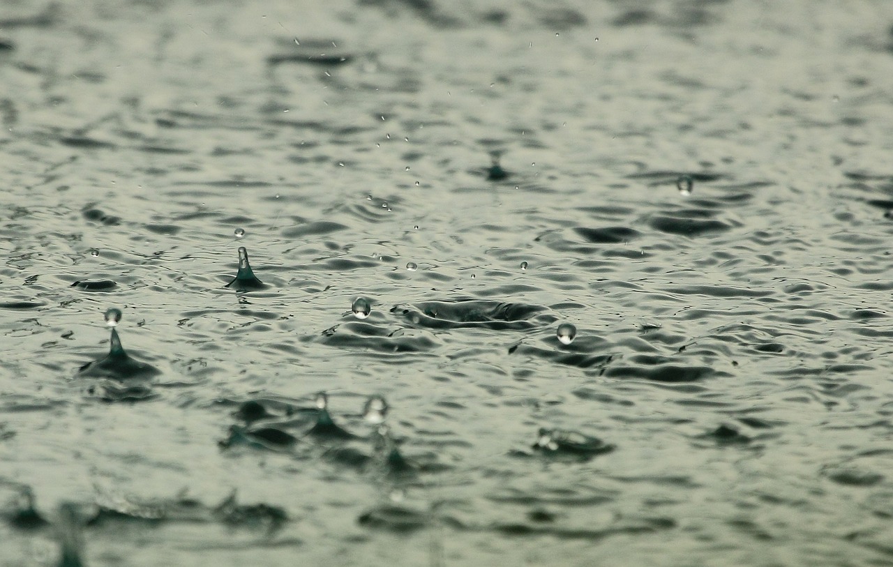 てんかんの水治療に関する体験談とは？