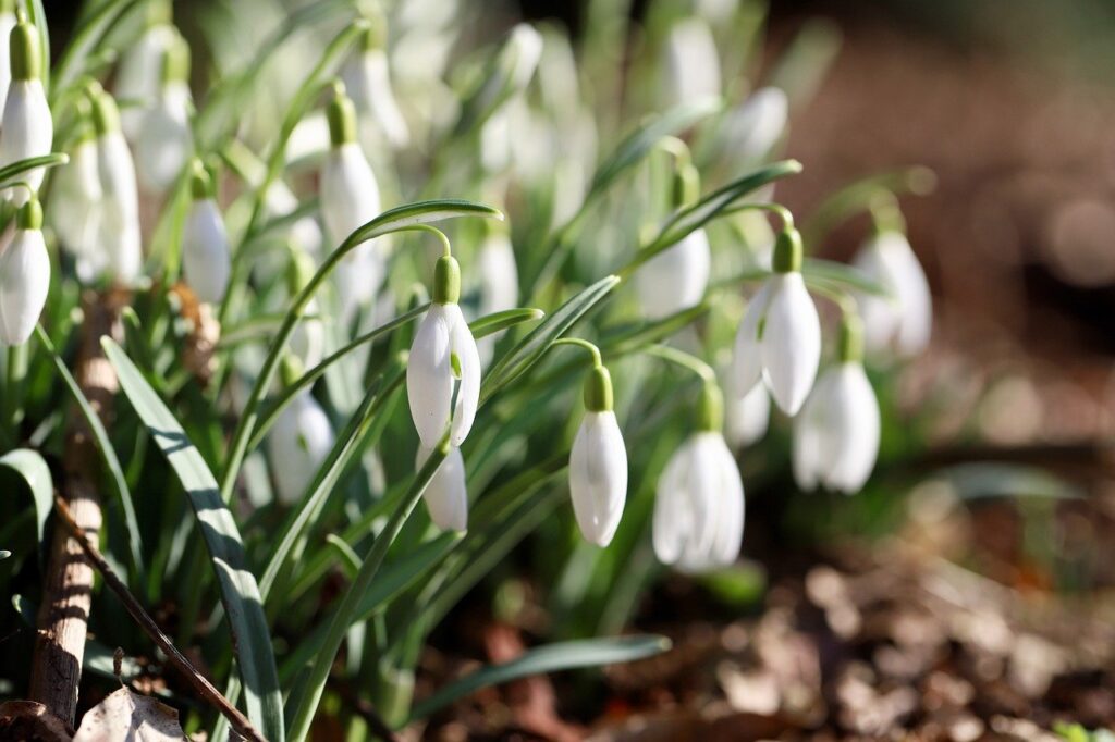 てんかんの前兆にはどんな症状があるの？