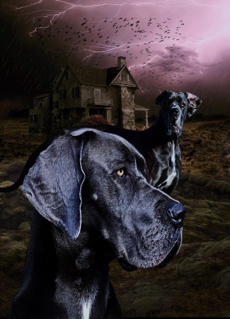 てんかんの前兆を見逃さないためのサインとは？