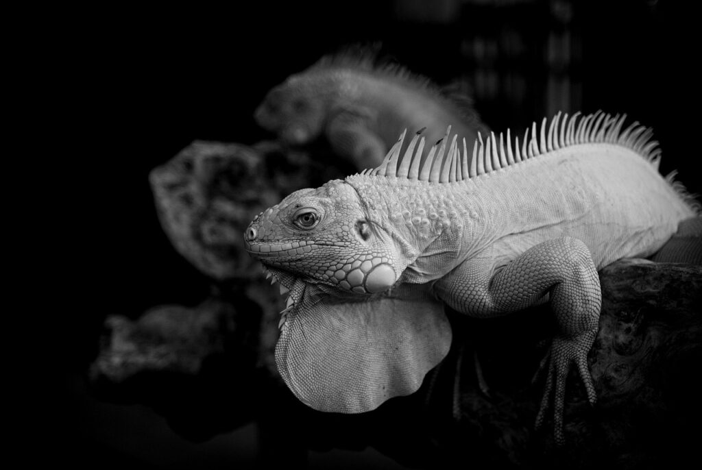 てんかんのチェック方法と注意点は？