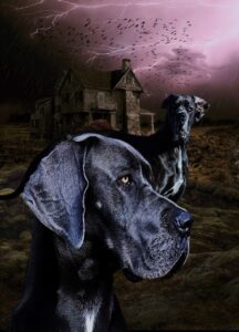 てんかんの前兆として感じる気持ち悪い症状とは？