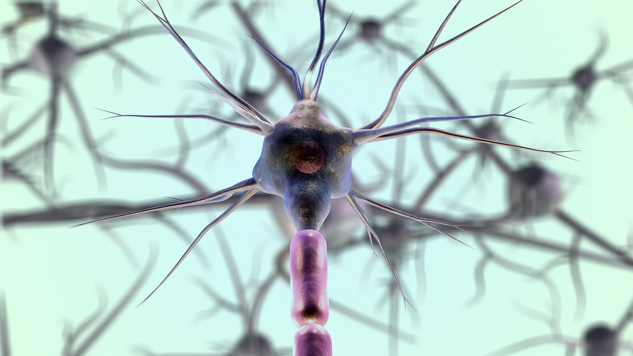 てんかんのセルフチェックで自分の症状を確認する方法は？