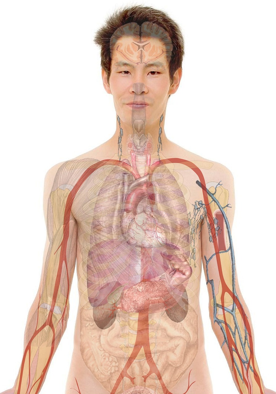 てんかん看護における観察項目は何ですか？