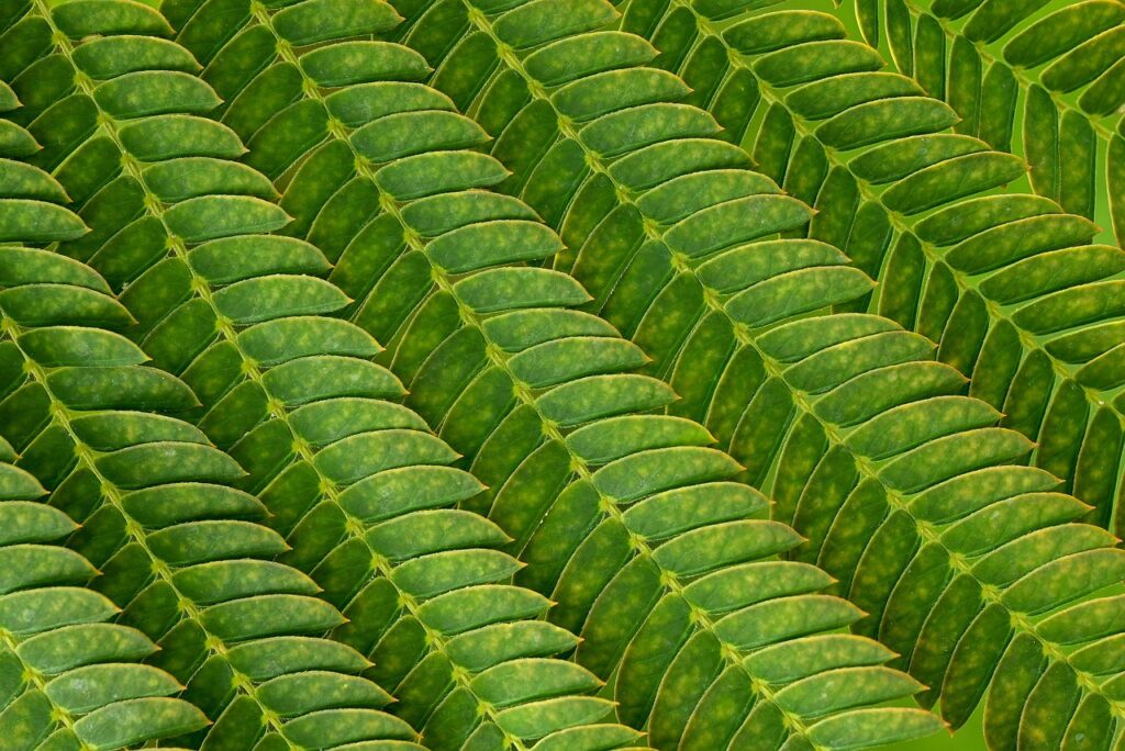 てんかんの介護における保険支援はどのように活用できる？