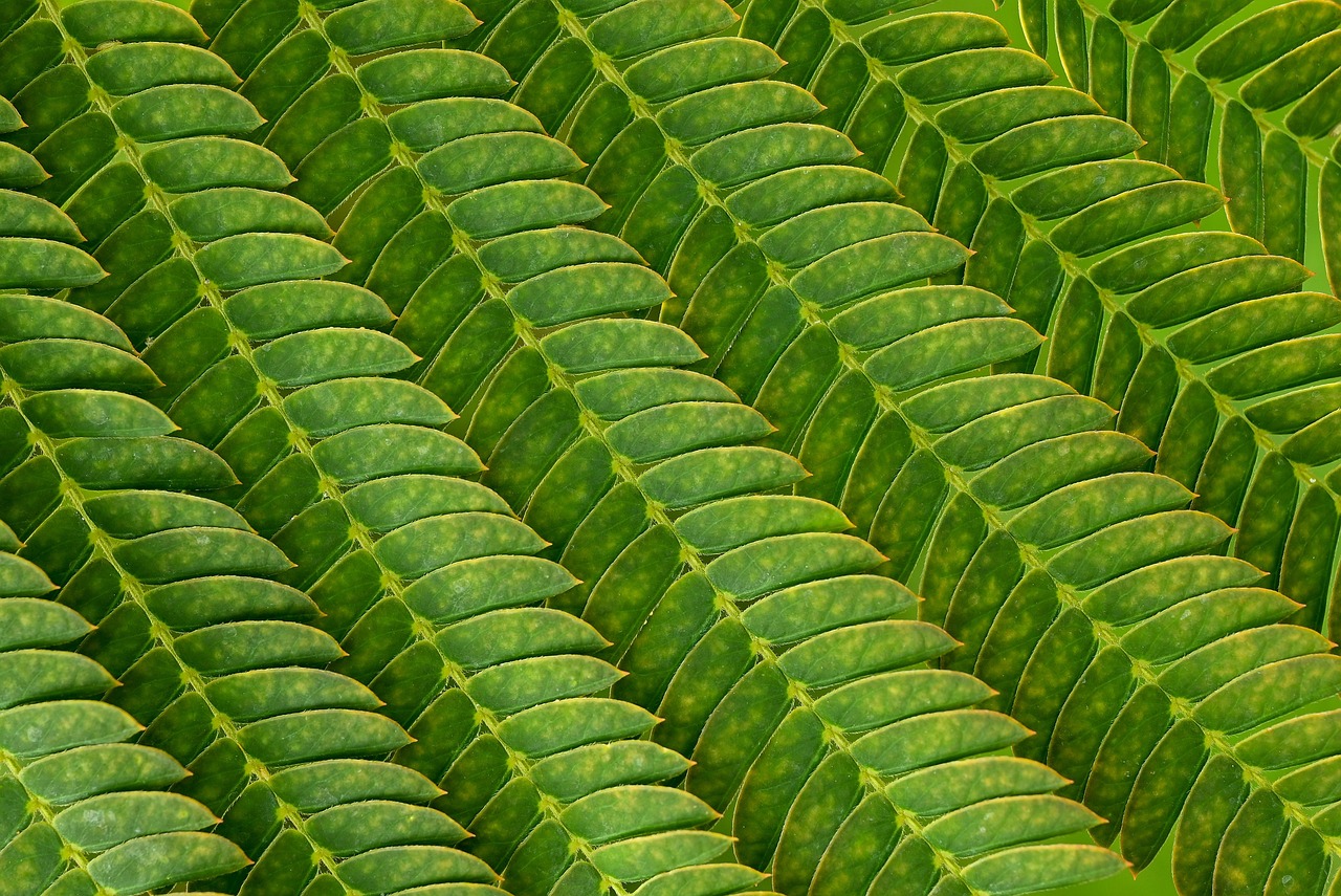 てんかんの介護における保険支援はどのように活用できる？