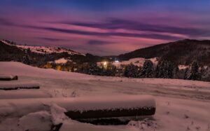 てんかんの夜間発作を家族に通知する方法は？