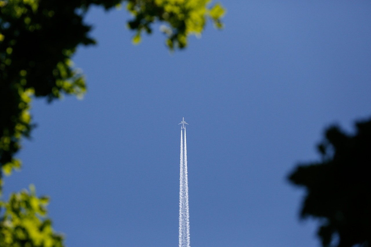 てんかん患者が飛行機利用時に知っておくべき対策は？
