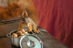 てんかんに関する福祉制度の申請方法は？