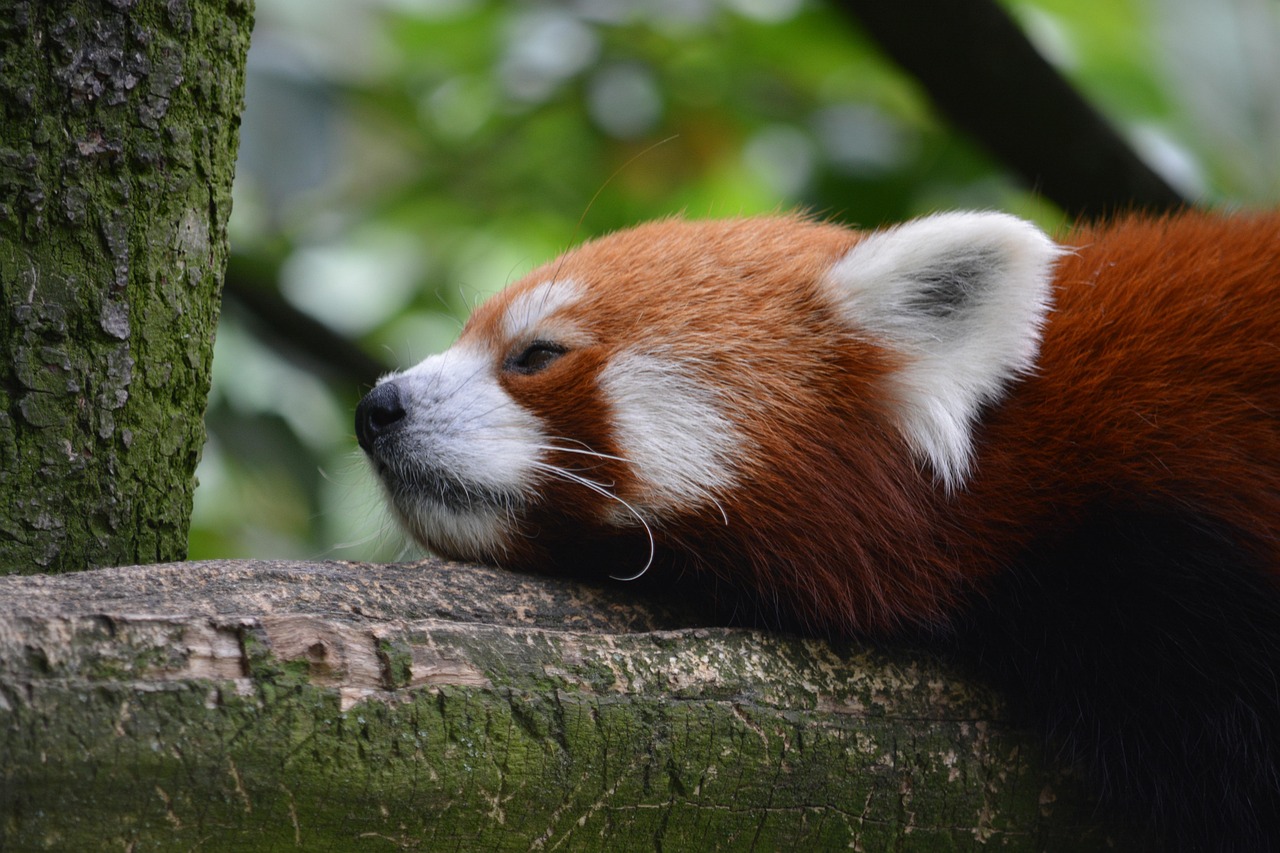 てんかんの暑さ対策に効果的な冷却方法は？