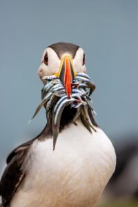 てんかんの管理に役立つデジタル記録ツールは？