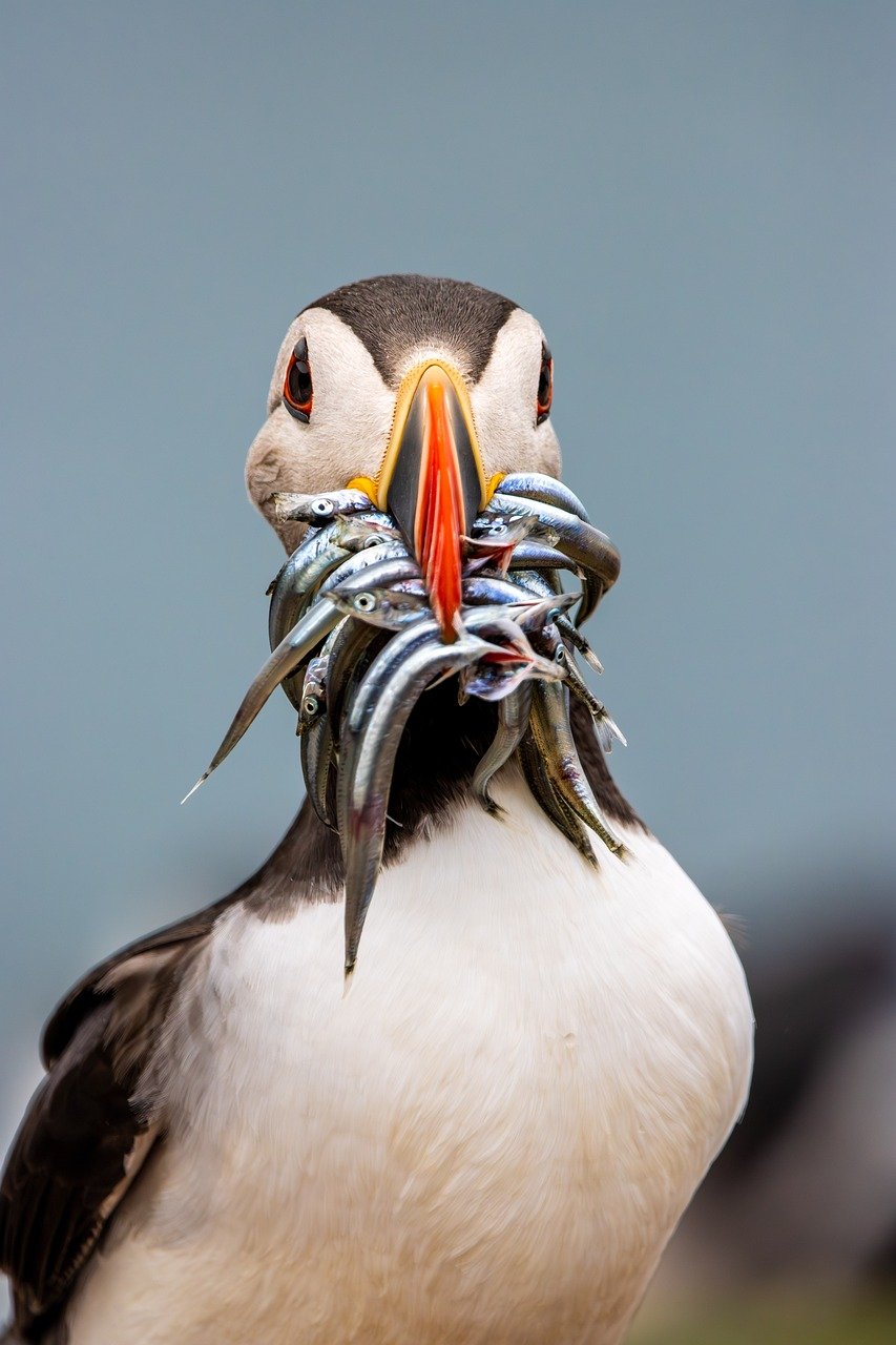 てんかんの管理に役立つデジタル記録ツールは？