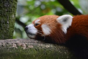 てんかん患者のための暑さ対策に効果的な冷却方法は？