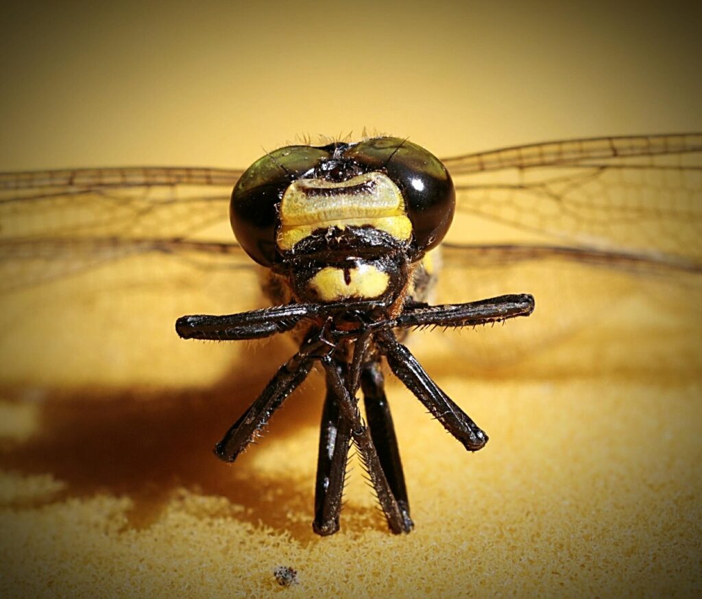 てんかんの薬の飲み忘れを防止するケースはどれが効果的？