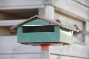 てんかんを持つ子どもが学校での発作に対応するための提出カードとは？