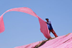 てんかんの発作に対応する伸縮性の服はどれが最適？