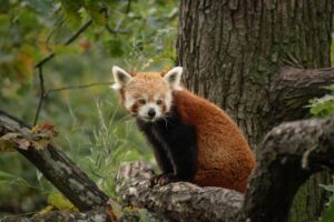 てんかん発作後の眠気対策はどうすればいい？